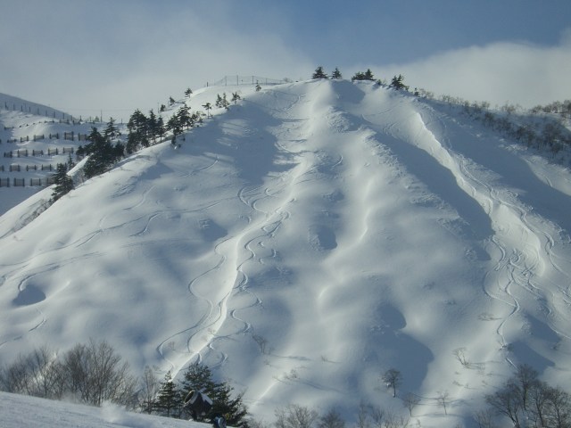 Hakuba fresh tracks
