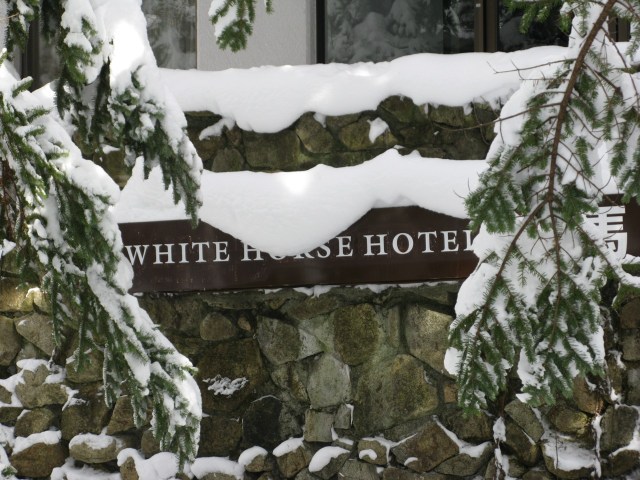 White Horse Sign Arctic White Horse
