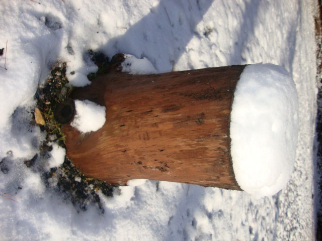 It's back The snow is back in Hakuba
