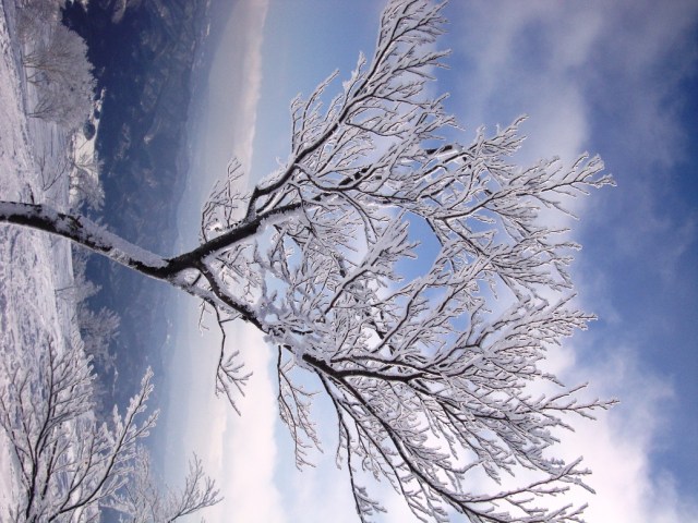 Hakuba 47 and Blue Skies