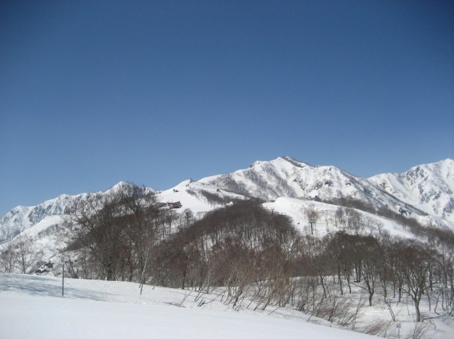 Goryu hakuba47