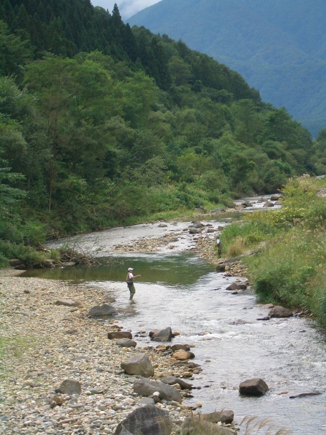 Hakuba fly fishing Fly fishing in Japan