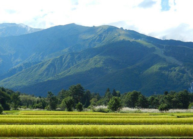Hakuba fields