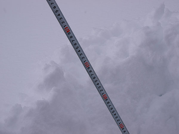 60-70 cm great start to the season