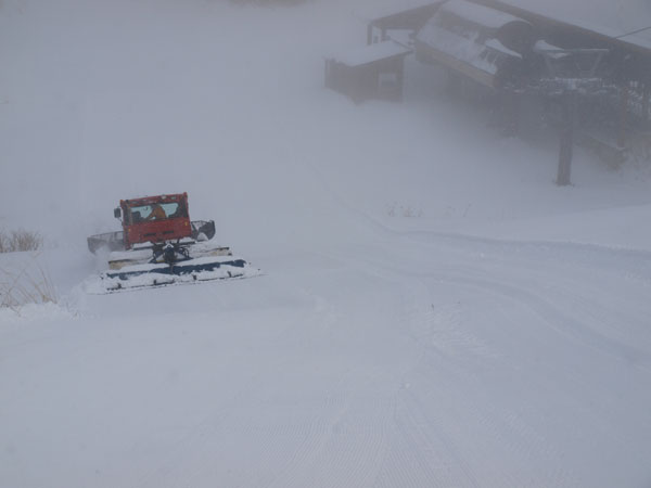 groomer on 47 hakuba grooming