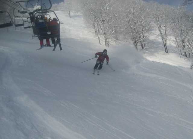 Hakuba powder Hakuba ski
