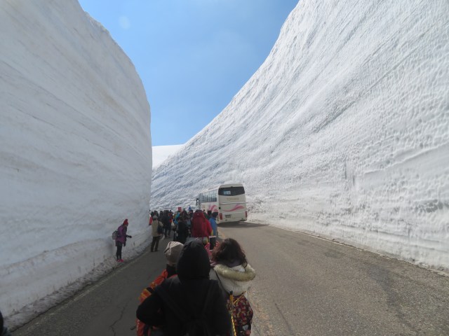 Hakuba snow walls