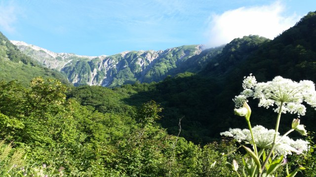 Mt Hakuba 27